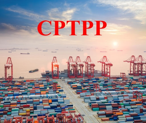 CPTPP: Các cam kết về Hải quan và Thuận lợi hóa thương mại giày dép