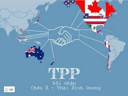  Tại sao TPP có thể nhanh chóng thực hiện miễn thuế giày nhập khẩu của bạn?