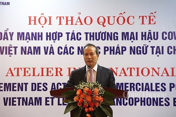 Thị trường các nước Pháp ngữ tại châu Phi: Triển vọng lớn cho doanh nghiệp Việt Nam