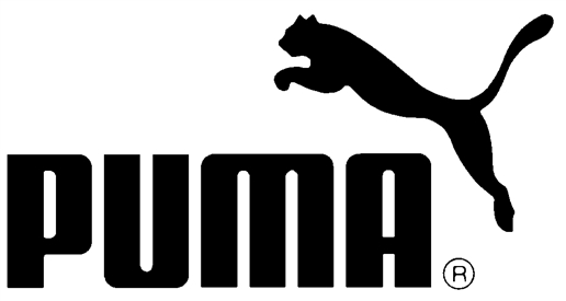 Puma tăng trưởng doanh số bán hàng trên tất cả các phân đoạn