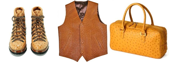 Các nhà sản xuất thịt và da đà điểu Nam Phi thông báo sáp nhập