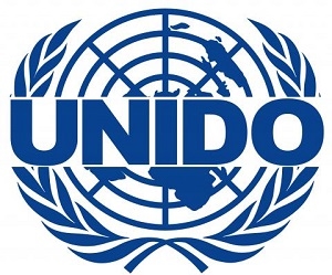 UNIDO công bố công cụ đào tạo mới tại hội nghị da Trung Quốc 