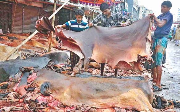  Các thương nhân da thô Bangladesh đồng ý thanh toán tiền cho các nhà thuộc da