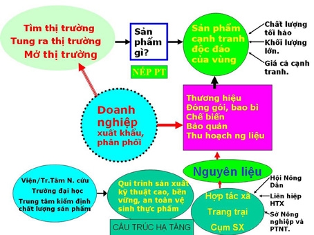 Việt Nam lội ngược dòng để tăng vị thế trong chuỗi giá trị toàn cầu